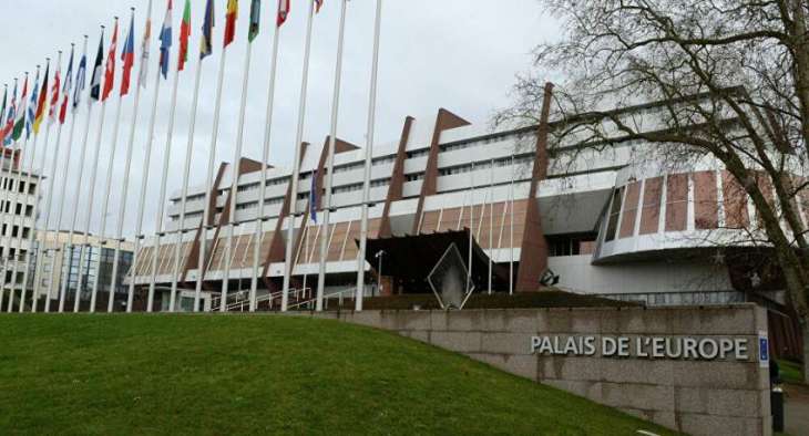 PACE Observers Praise 'Good' Cooperation With Russian Authorities, Organization of Voting