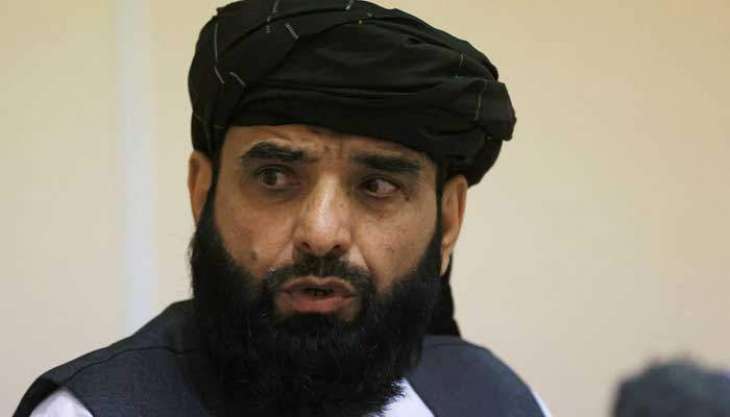 Taliban's Appointee Shaheen Hopes to Represent Afghanistan in UN Soon