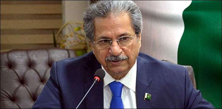 Local govt elections will be held in March next year, Shafqat Mahmood