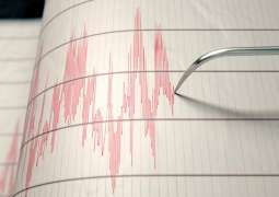 Japan Did Not Declare Tsunami Warning After Earthquake - Meteorological Agency