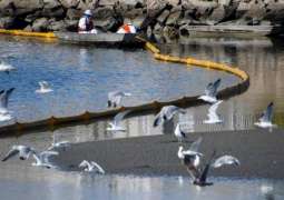 Consequences of California Oil Spill to Last 1-2 Years - Expert