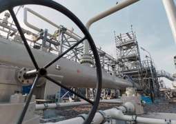 Budapest Stresses No One Can Interfere With Decisions on Gas Supplies Bypassing Ukraine