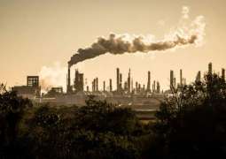 Over 90% of Companies Fail to Properly Measure Carbon Footprint Worldwide - Report