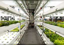 الزراعة المستدامة تعزز نهج دبي لمستقبل مستدام 