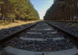 Afghanistan, Pakistan, Uzbekistan to Discuss Trans-Afghan Railway in November