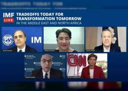 IMF expert panel: Improved policy frameworks are key to a transformational recovery for the MENA region