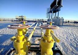 German Envoy Negotiating Russian Gas Transit Through Ukraine After 2024 - Spokesperson