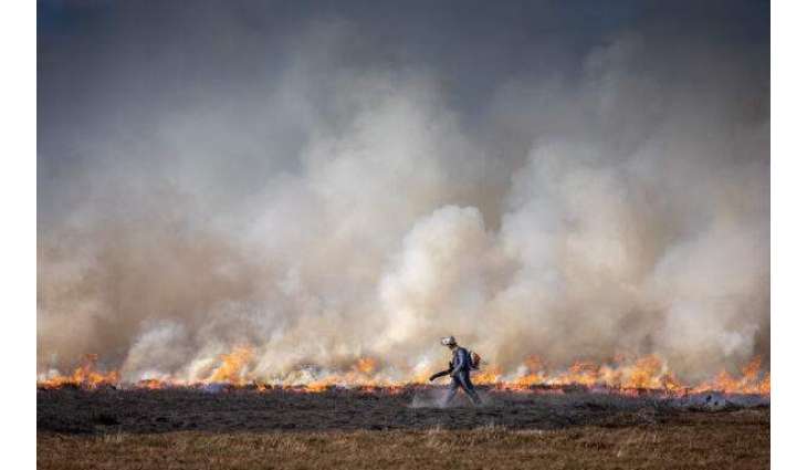 Greenpeace UK Warns of Fires Deliberately Lit on England's Carbon-Rich Peatlands