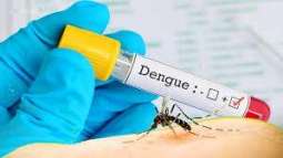New Delhi Reports Sharp Increase in Dengue Fever Cases