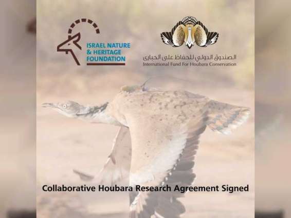 Joint Research Project Between UAE, Israel To Advance Conservation Of  Houbara Bustard | Pakistan Point