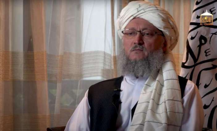 Taliban Do Not Need Foreign Military Assistance - Deputy Prime Minister
