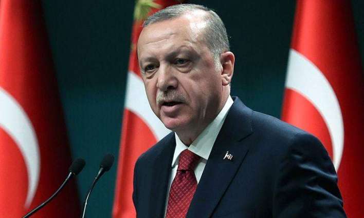 Erdogan Welcomes Statements of Embassies on Non-Interference in Turkey's Affairs - Reports