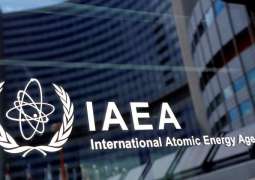 IAEA to Collect Samples From Coastal Waters Near Fukushima Nuclear Power Plant