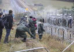 French Diplomat Sees No Evidence of Russia's Involvement in Migration Border Crisis