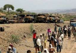 Possible Sanctions on Ethiopia Counterproductive, Will Inflict Damage on Civilians - Envoy
