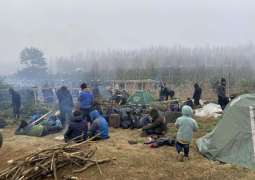 WHO to Supply Medical Aid for Migrants in Belarus - Health Ministry