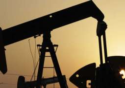 OPEC+ Likely to Freeze Upcoming Oil Production Hike in Response to US Actions - Expert