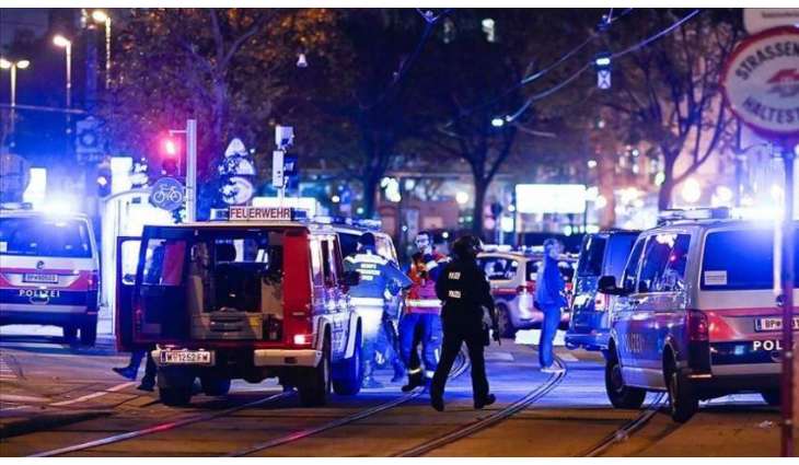 Austrians Largely Not Afraid of New Terror Attacks 1 Year After Vienna Attack - Poll