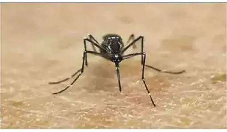 Almost 90 People Contract Zika Virus in Northern India - Reports