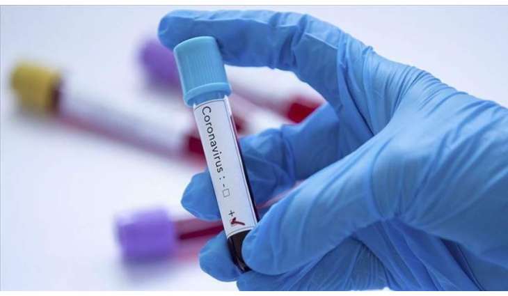 Slovakia Registers New Record High of Daily COVID-19 Cases - Ministry of Health