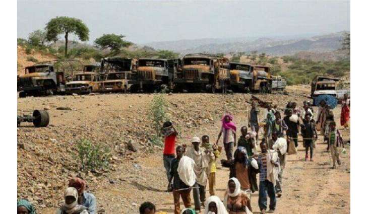 Possible Sanctions on Ethiopia Counterproductive, Will Inflict Damage on Civilians - Envoy
