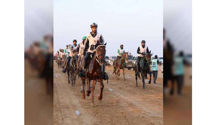 برعاية منصور بن زايد .. انطلاق "كأس اليوم الوطني للقدرة"