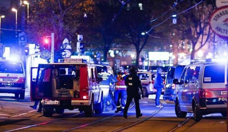 Austrians Largely Not Afraid of New Terror Attacks 1 Year After Vienna Attack - Poll