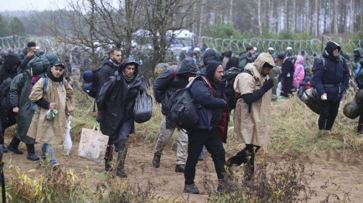 Lithuanian Border Guards Do Not Shoot at Migrants on Belarus Border - Foreign Ministery
