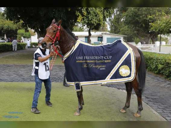 المهرة "أولمبي" تقتنص لقب كأس رئيس الدولة للخيول العربية في المغرب