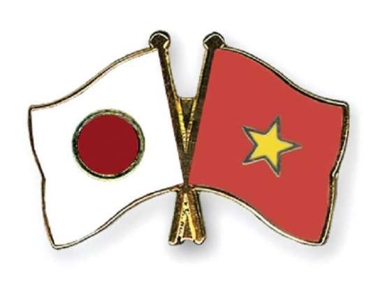 Japanese, Vietnamese Defense Chiefs Vow to Enhance Regional Security