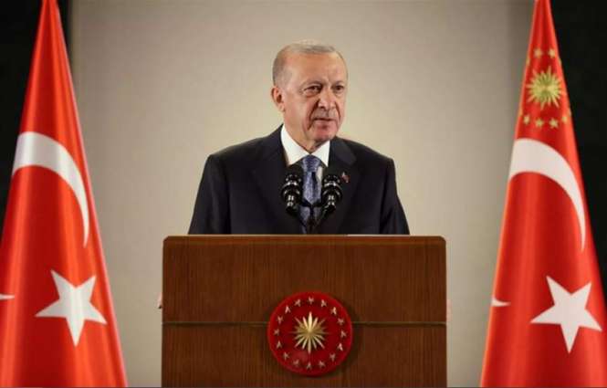 Turkey Ready to Mediate Between Russia, Ukraine - Erdogan