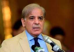 Pakistan and PTI can’t go side-by-side, says Shehbaz Sharif