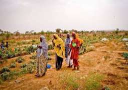 Food Crisis in Mali Leaves 1.2 Million People Facing Hunger - NGOs