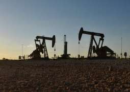 Marathon Petroleum Takes 250,000 Barrels from US Oil Reserve to Help Curb Pump Price - DOE