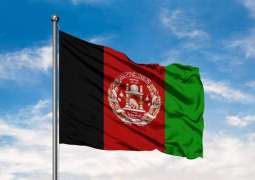 Afghan Diplomat Says Resistance Against Taliban Organized in Panjshir, Kandahar, Baghlan