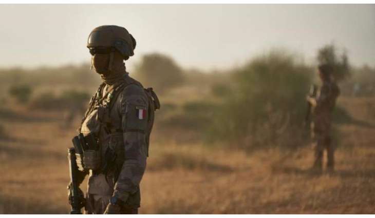 French Military Eliminates Senior IS Terrorist in Niger - Defense Ministry
