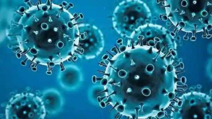 Nigeria Confirms First Cases of Omicron Variant Among Arrivals From South Africa