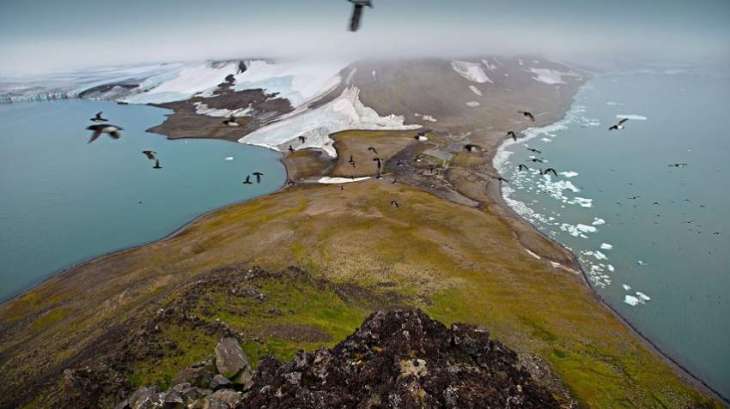 Russia's Arctic National Park Reports Disappearance of Peninsula on Franz Josef Land