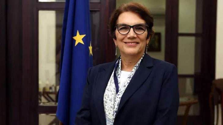 EU envoy felicitates Pakistan for successfully holding OIC meeting