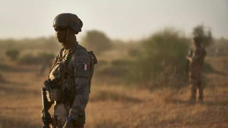 French Military Eliminates Senior IS Terrorist in Niger - Defense Ministry