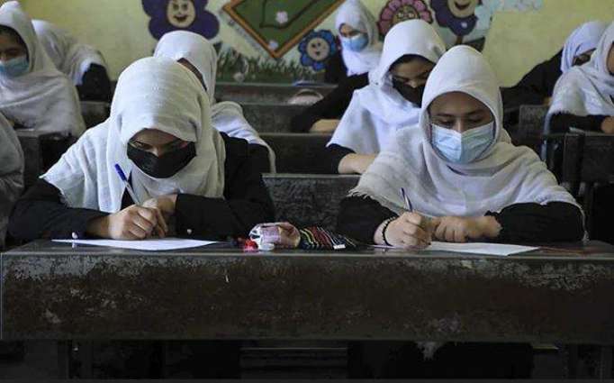 Taliban Working to Allow Girls Return to Schools, Universities Next Year - Spokesman