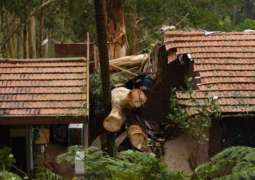 Storms in Australian Victoria Leave 18,000 Houses Without Power - Reports