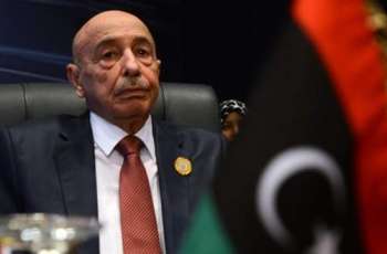 Libyan Parliament Speaker Calls for Cabinet Shakeup After Poll Delay