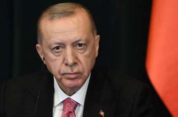 Erdogan to Visit Ukraine in Coming Weeks - Spokesperson