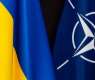 Ukraine Expects Concrete Steps From NATO on Membership - Senior Official