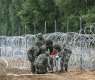 Barb Wire Fence on Polish-Belarusian Border Harms Belovezhskaya Pushcha's Wildlife - WWF