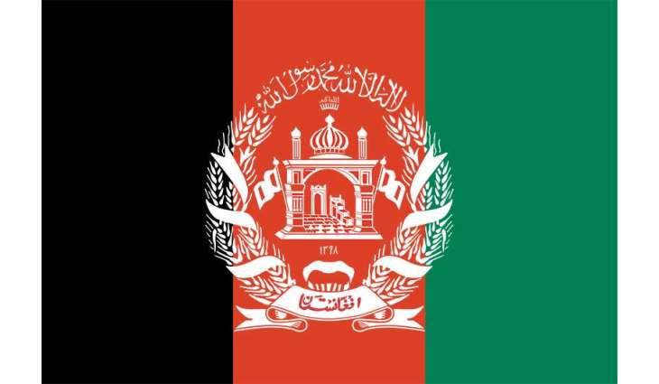 Taliban Dismiss Tajik President's Remark on Training Camps for Terrorists in Afghanistan