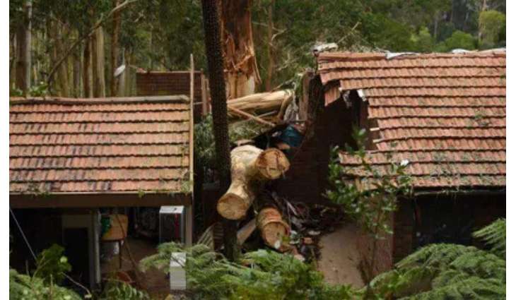 Storms in Australian Victoria Leave 18,000 Houses Without Power - Reports