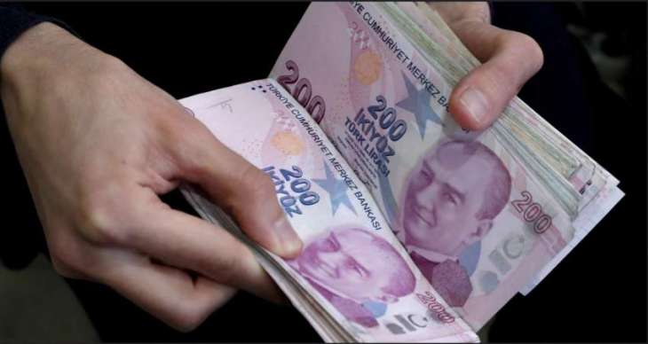 Turkish Lira Expected to Remain Stable - Finance Minister