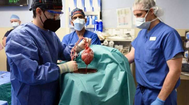 US man gets pig’s heart after through heart surgery at Maryland University